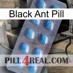 Black Ant Pill viagra3
